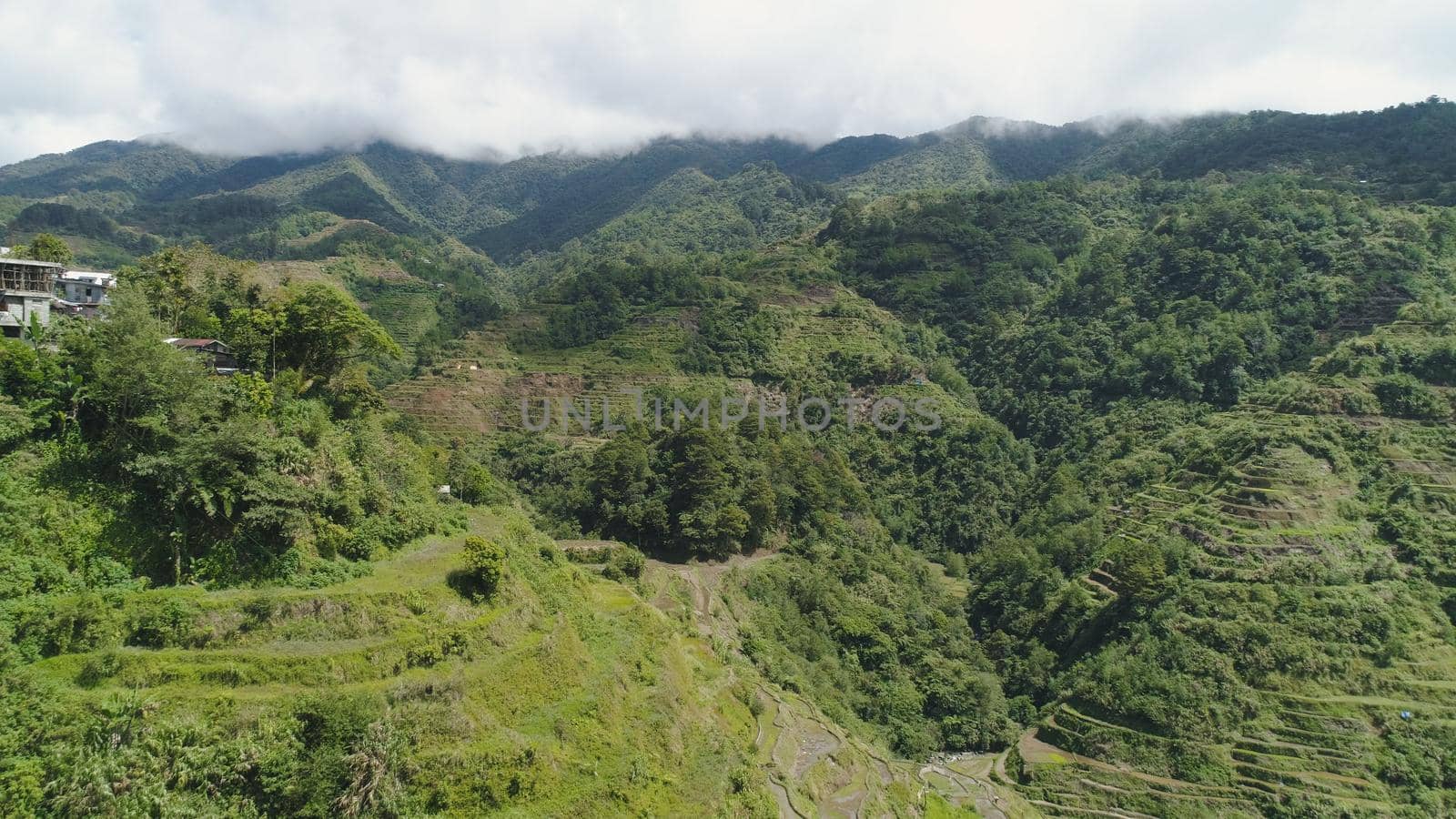 Aerial view of rice terraces on the slopes of the mountains, Banaue, Philippines. Rice cultivation in the North Batad. Mountains covered forest, trees. Philippine Cordilleras.