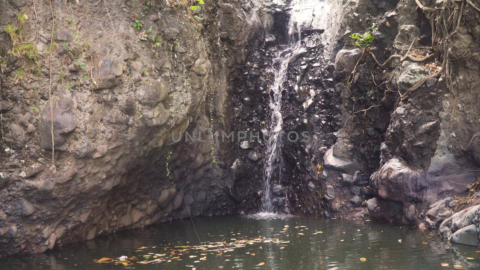 Waterfall in green rainforest. waterfall in the mountain jungle. Bali,Indonesia. Travel concept.