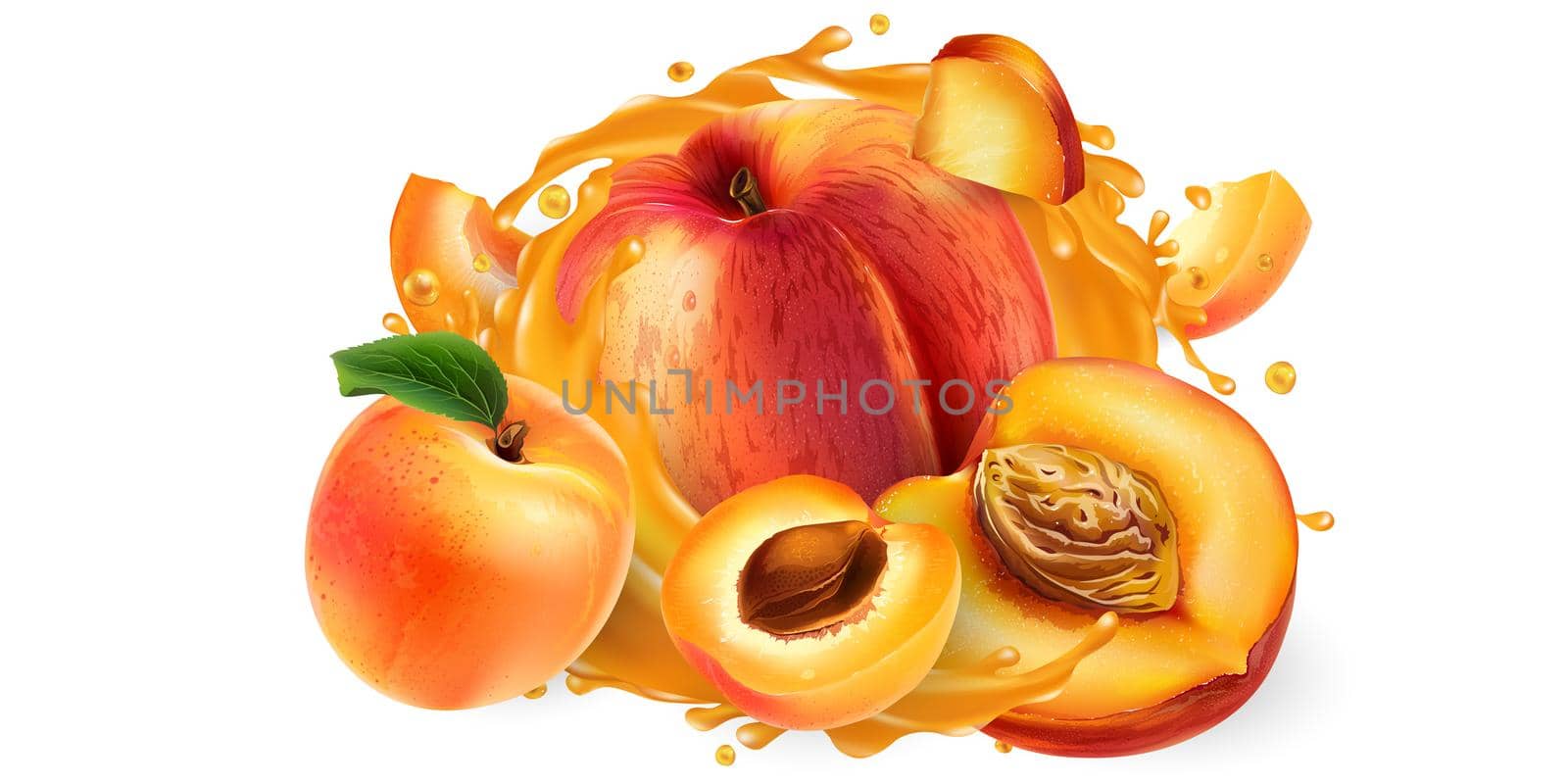 Fresh peaches and apricots and a splash of fruit juice on a white background. Realistic style illustration.