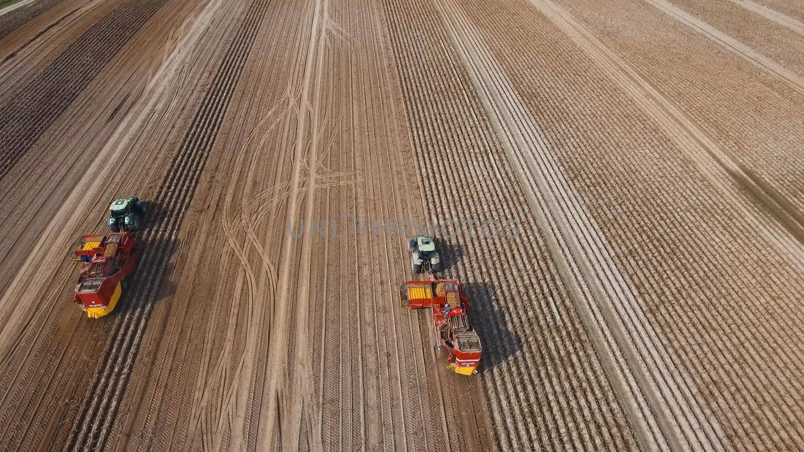 Farm machinery harvesting potatoes. Farmer field with a potato crop.