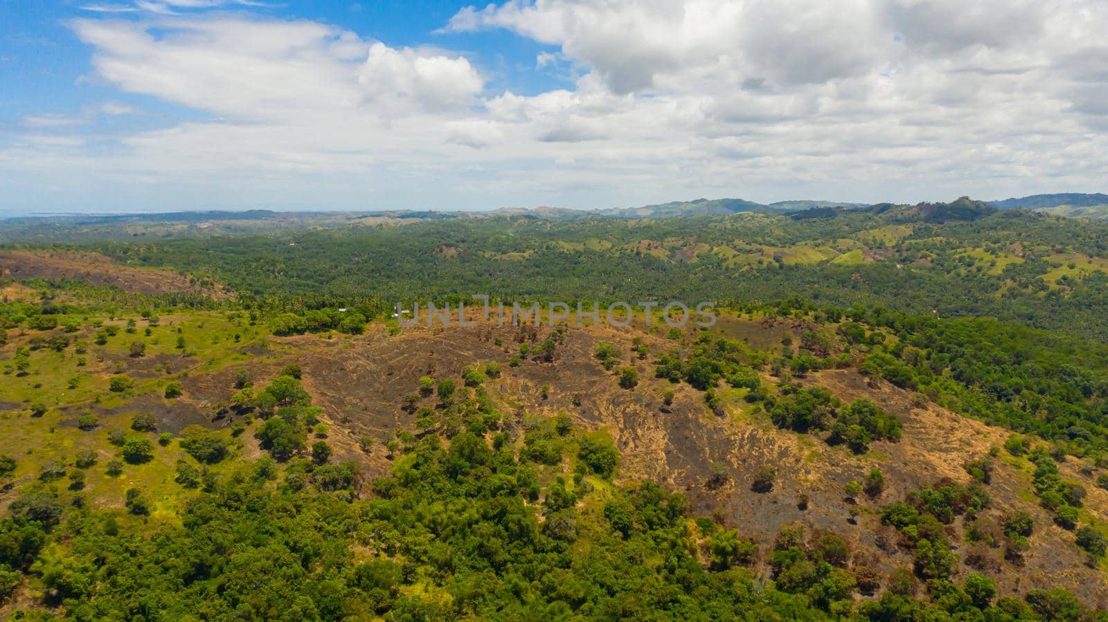 Landscape with green hills and meadows under a blue sky, view from above. Bohol, Philippines.