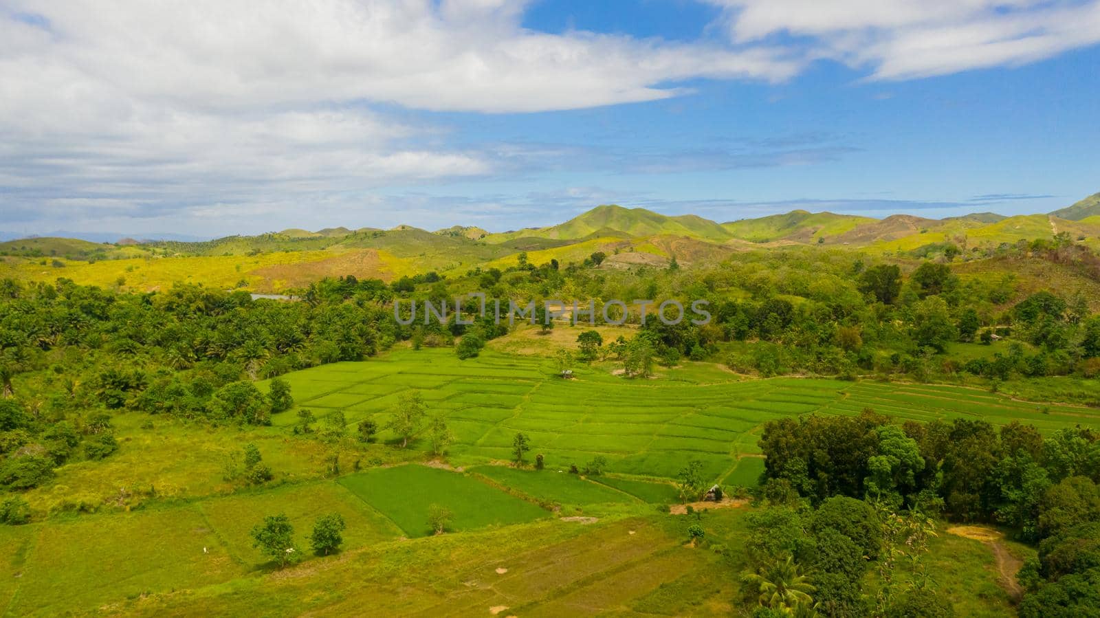 Hills and mountains covered with green grass against a background of blue sky and clouds. Bohol, Philippines. Summer landscape.