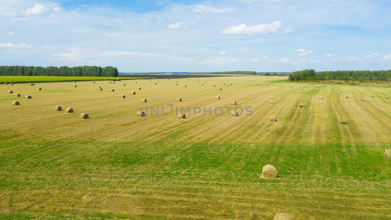 Rural fields after harvesting with round stacks of golden straw are collected in many rolls. Landscape meadow with hay bales after harvest.