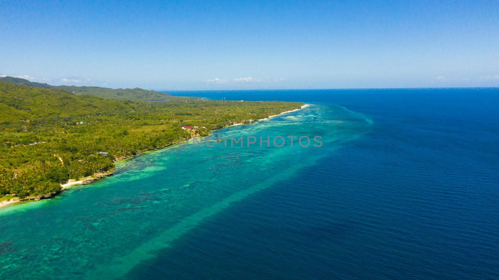 Tropical sandy beach with palm trees and turquoise clear waters. Bohol, Anda, Philippines.