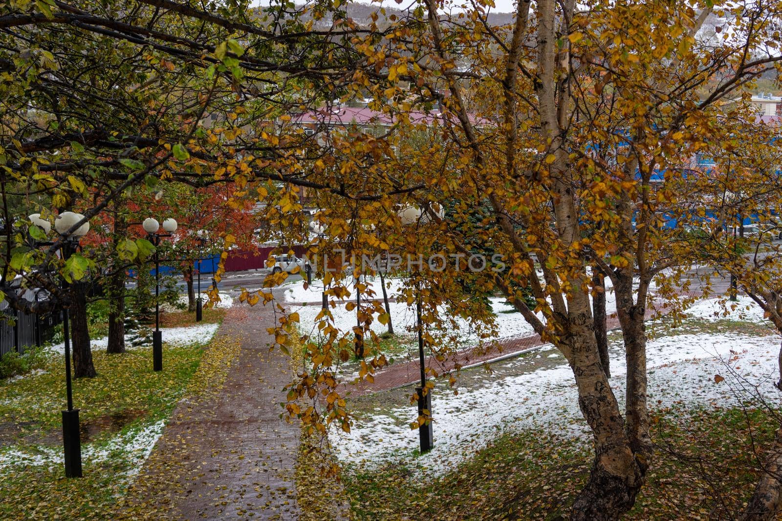 Petropavlovsk-Kamchatsky, Russia. Cityscape with view on the Park and the street.