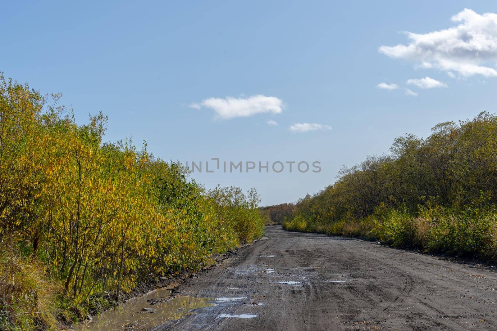 Kamchatka, Russia. The natural landscape with a country road.