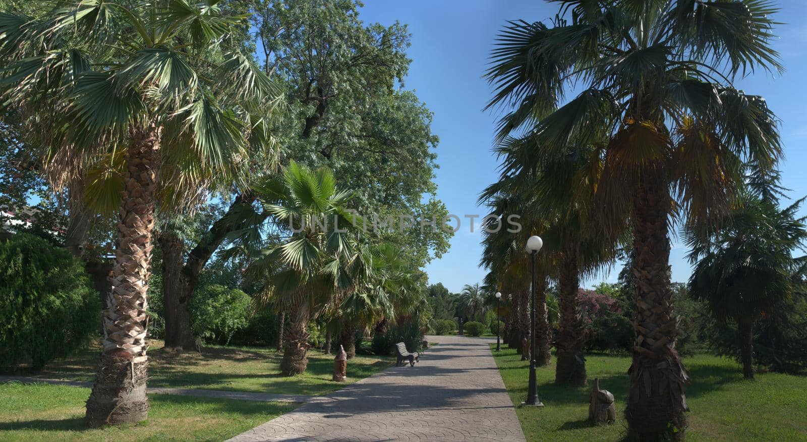 Panorama of the landscape Of the Park of southern cultures. Sochi, Russia