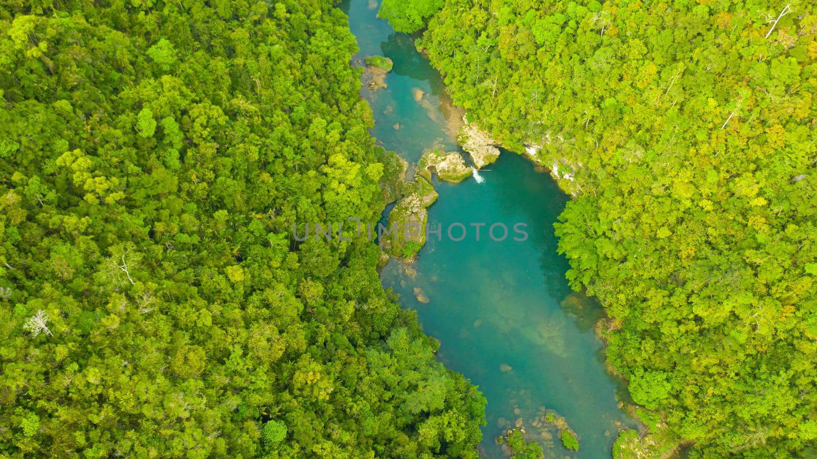 Beautiful natural scenery of Loboc river in tropical green forest. Bohol, Philippines.