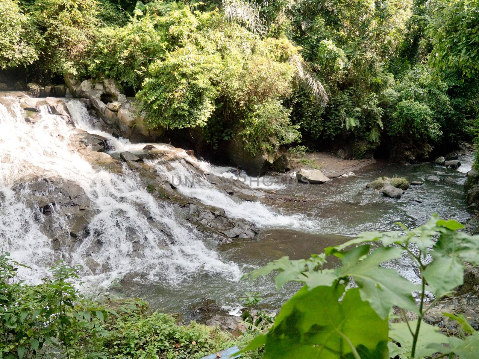 Waterfall in green rainforest. waterfall in the mountain jungle. Bali,Indonesia. Travel concept.