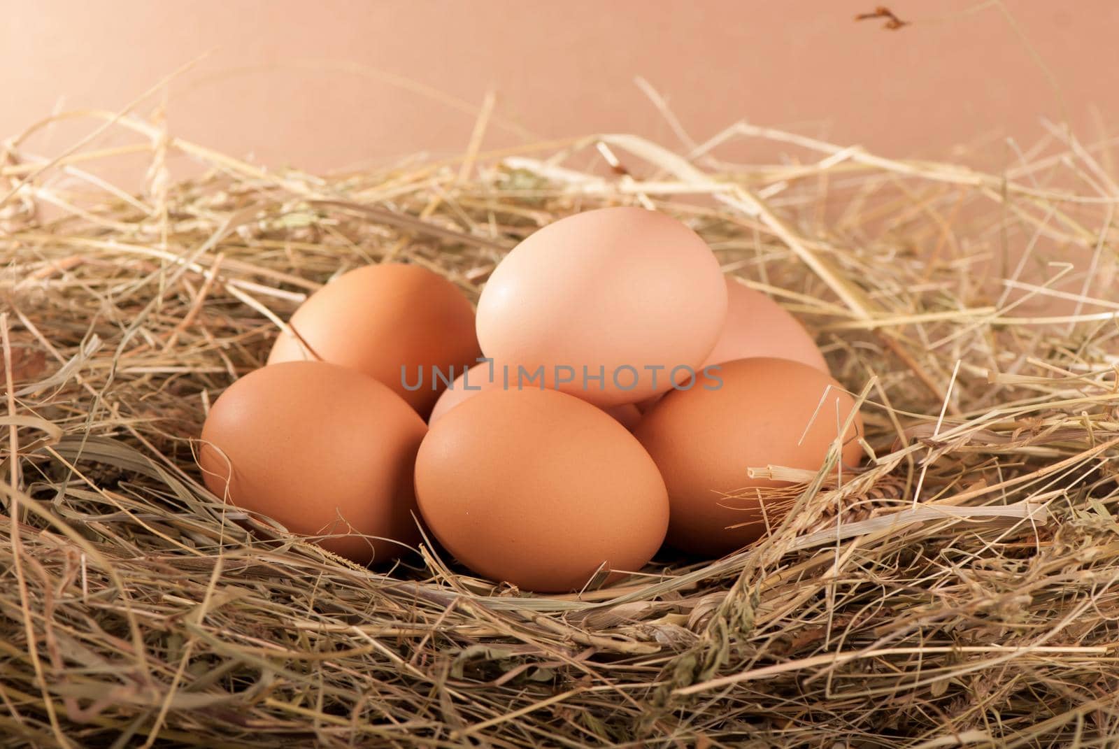 pile of brown eggs in a nest