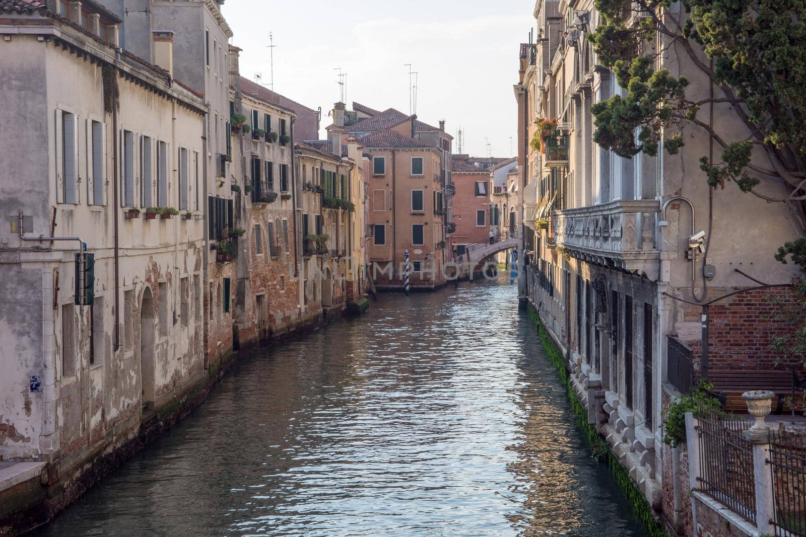 discovery of the city of Venice and its small canals and romantic alleys by shovag