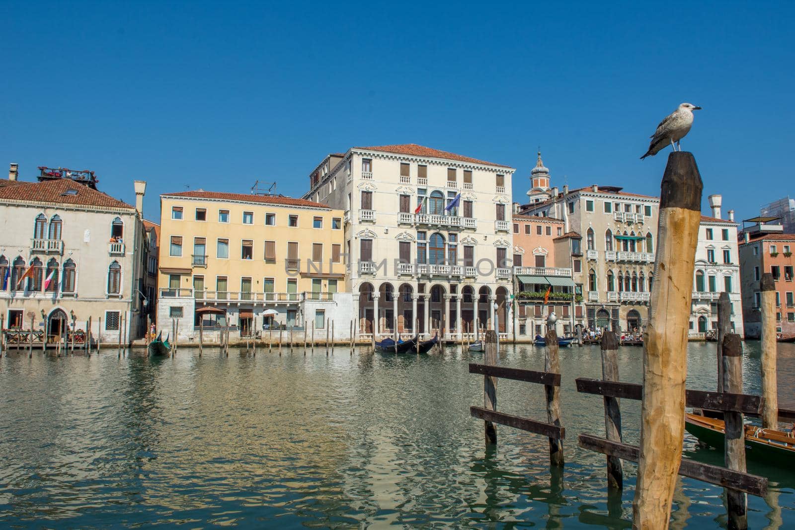 discovery of the city of Venice and its small canals and romantic alleys, Italy