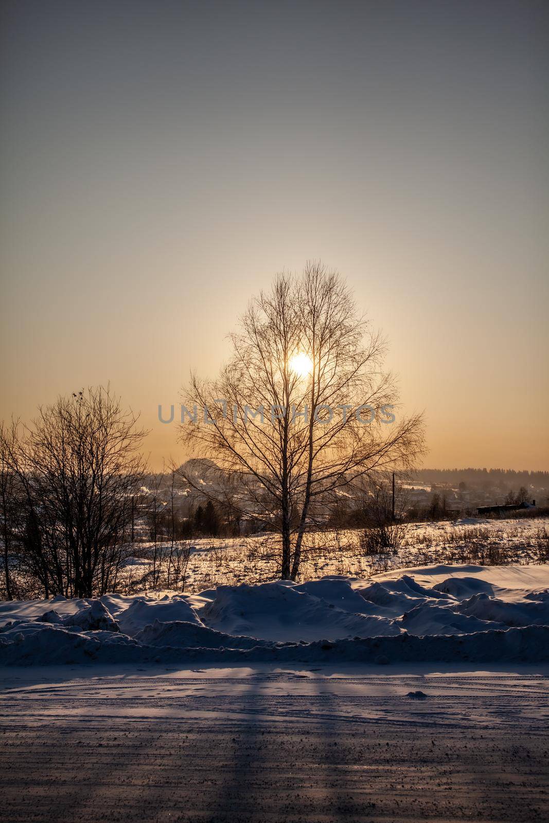 A walk through the winter forest. Snow trees and a cross-country ski trail. Beautiful and unusual roads and forest trails. Beautiful winter landscape.