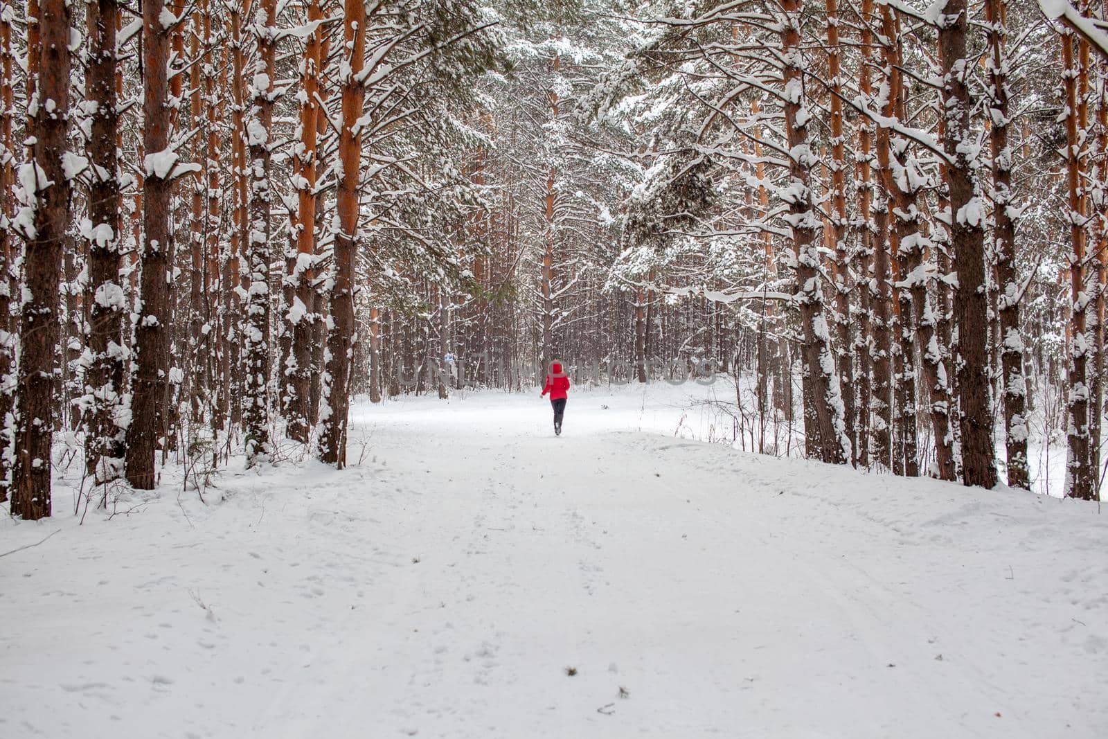 A girl in a red jacket walks through a snow-covered forest by AnatoliiFoto