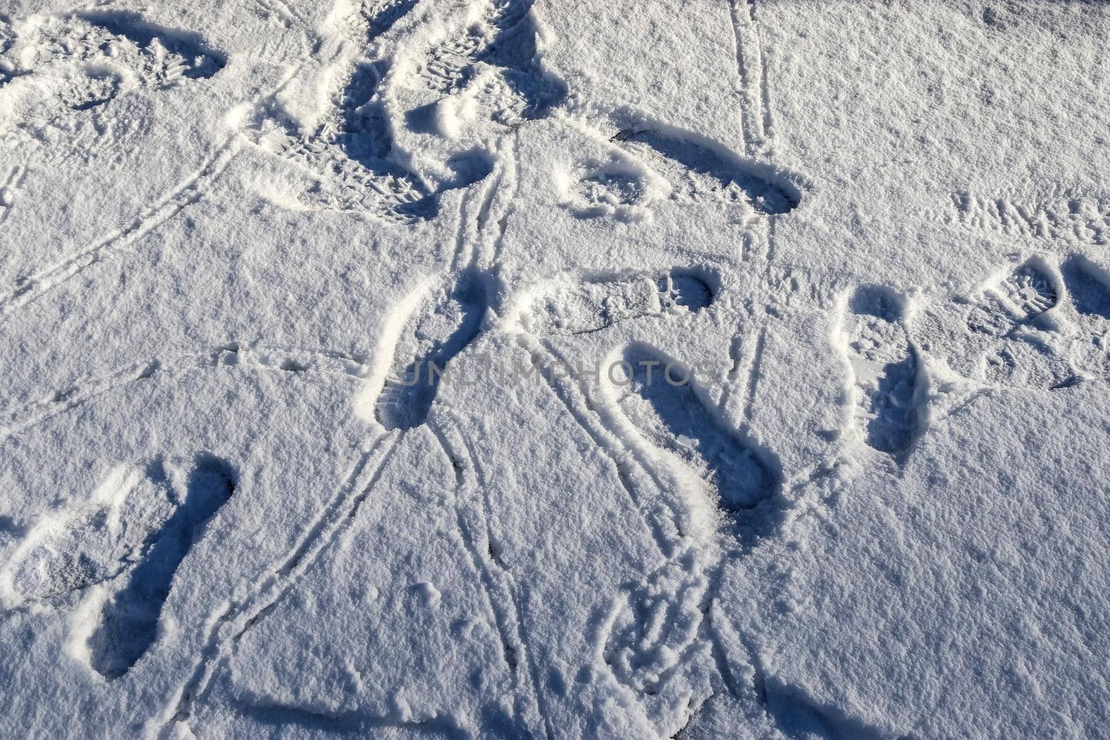 Footsteps of male shoes in fresh white snow in winter.