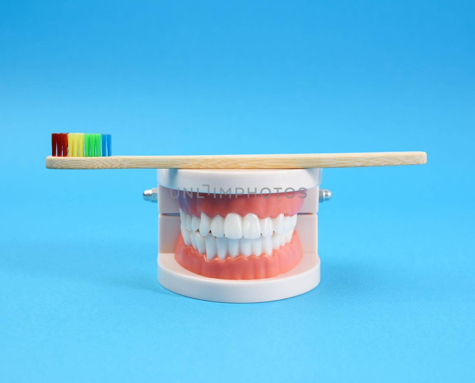 plastic model of a human jaw with white teeth and  wooden toothbrush on a blue background, oral hygiene