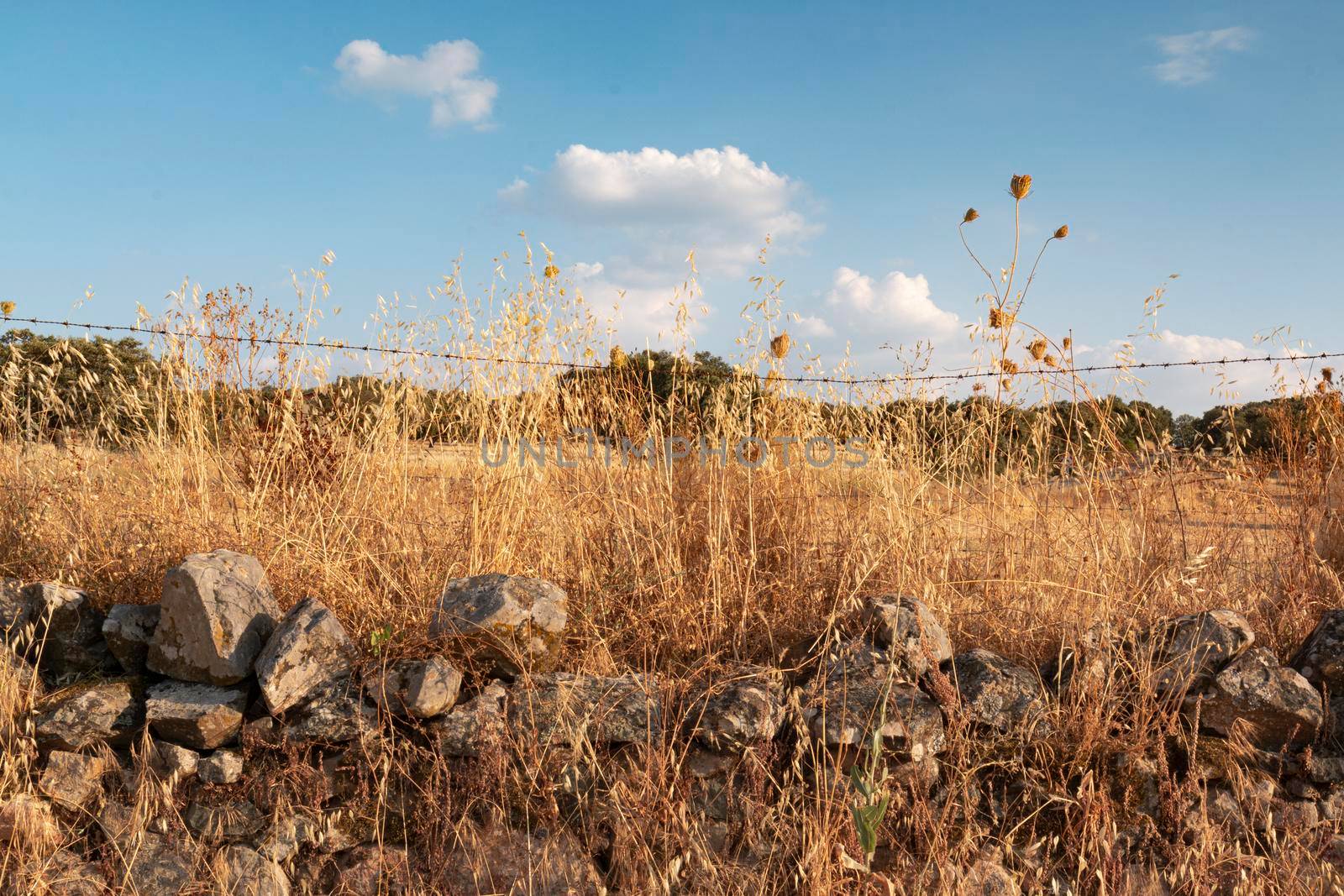 Landscapes of Andalusia in Spain by loopneo