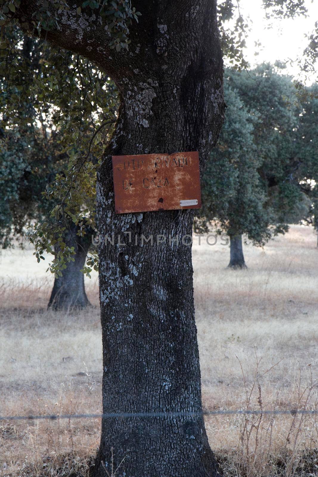 rusty hunting ground sign in spanish by loopneo