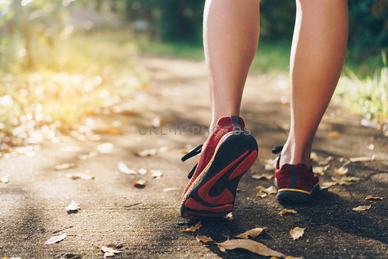 Woman wear running shoe on to walking and running on nature green background.Health exercise concept.