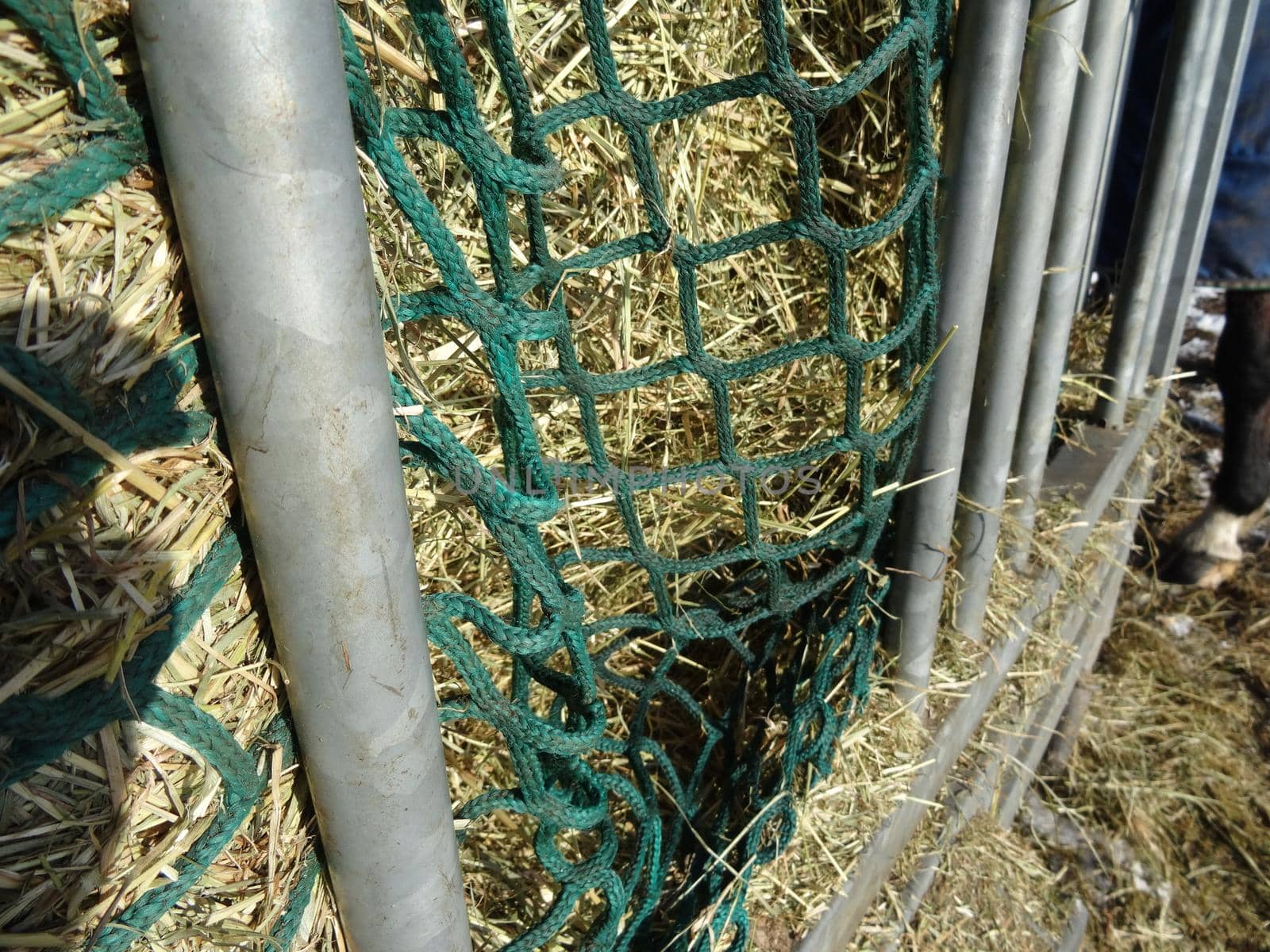 Side view of hay under green net in the hay rack