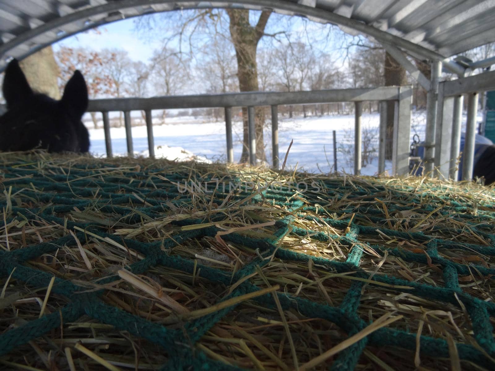 Side view of hay under green net in the hay rack