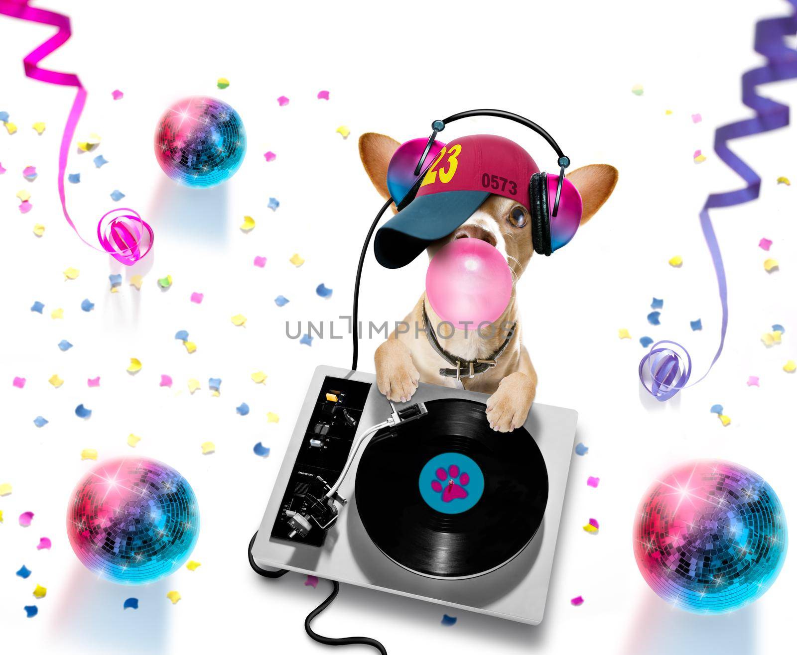 french bulldog  dog playing music in a club with disco ball , isolated on white background, with vinyl record