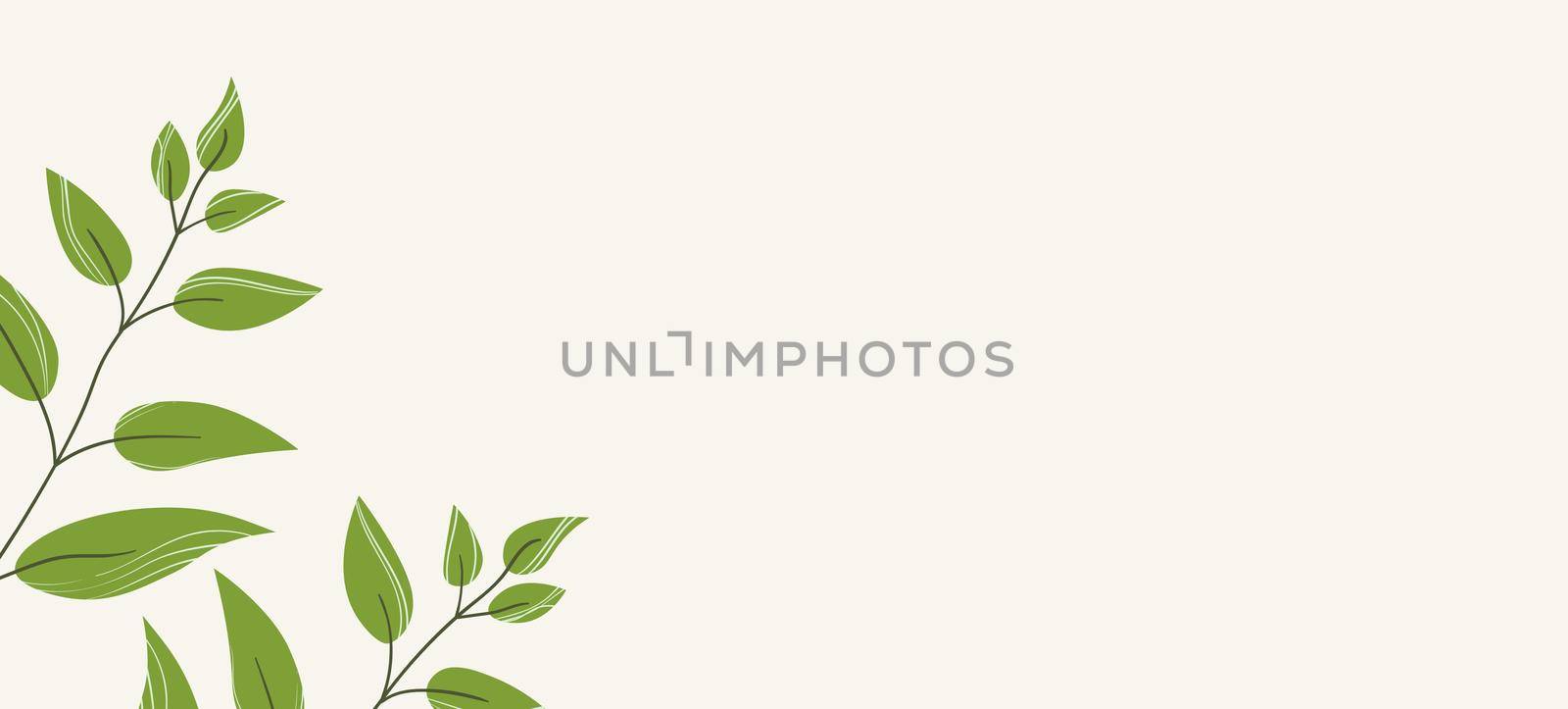 Floral web banner with drawn color exotic monstera leaves. Nature concept design. Modern floral compositions with summer branches. Vector illustration on the theme of ecology, natura, environment by allaku