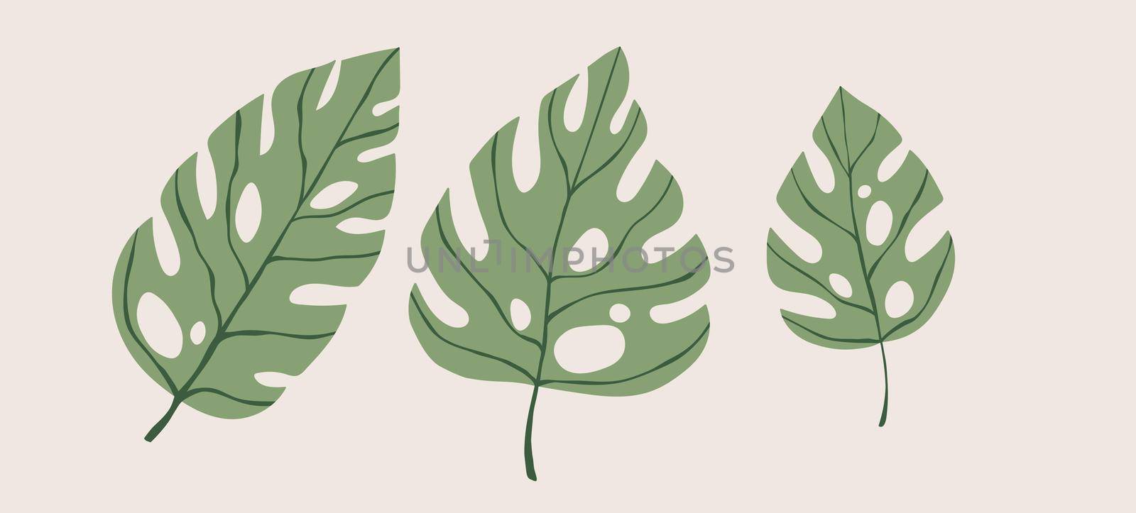 Floral set hand drawn color exotic monstera leaves. Cute isolated elements. Clip art for stationery, web design. Modern floral compositions with tropical branches. Vector illustration