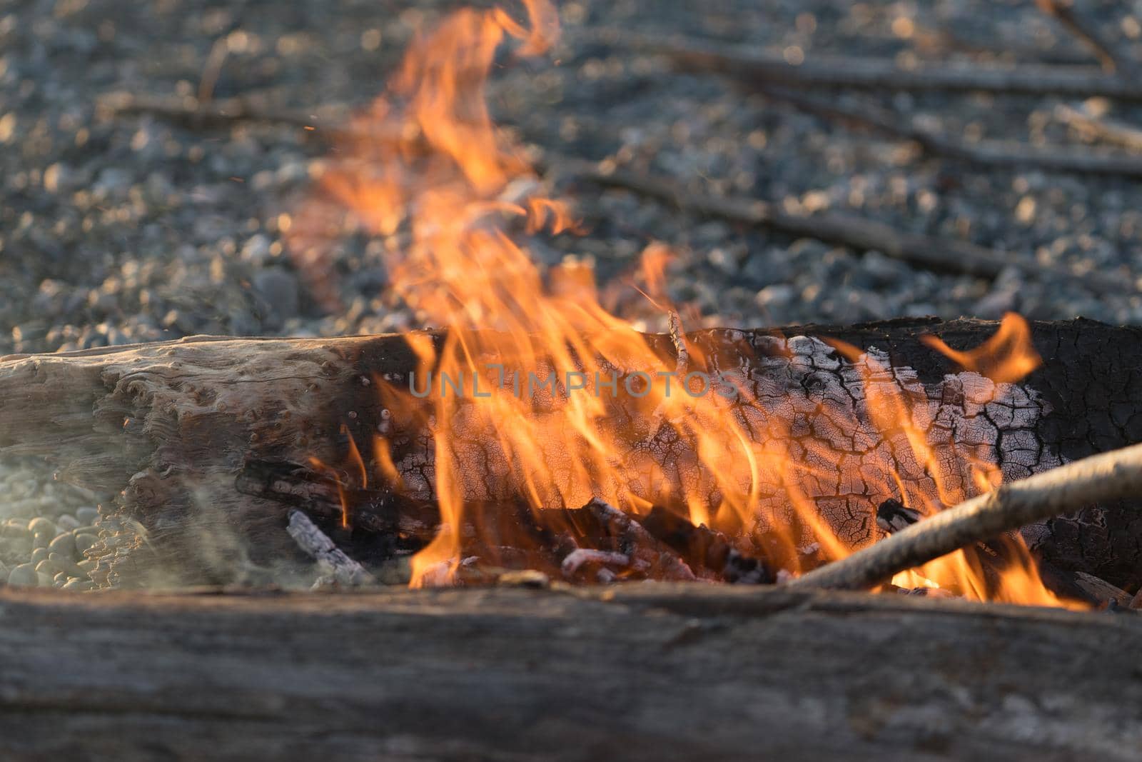 Bright flame of fire at the burning logs on the rocky shore