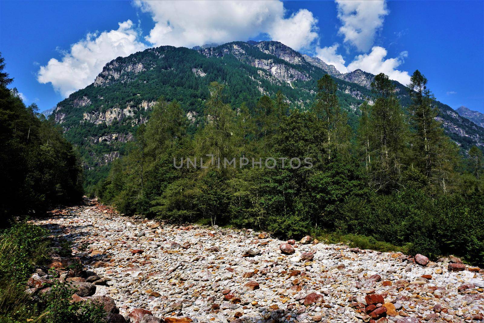 Pebble of the Verzasca river and beautiful Swiss landscape