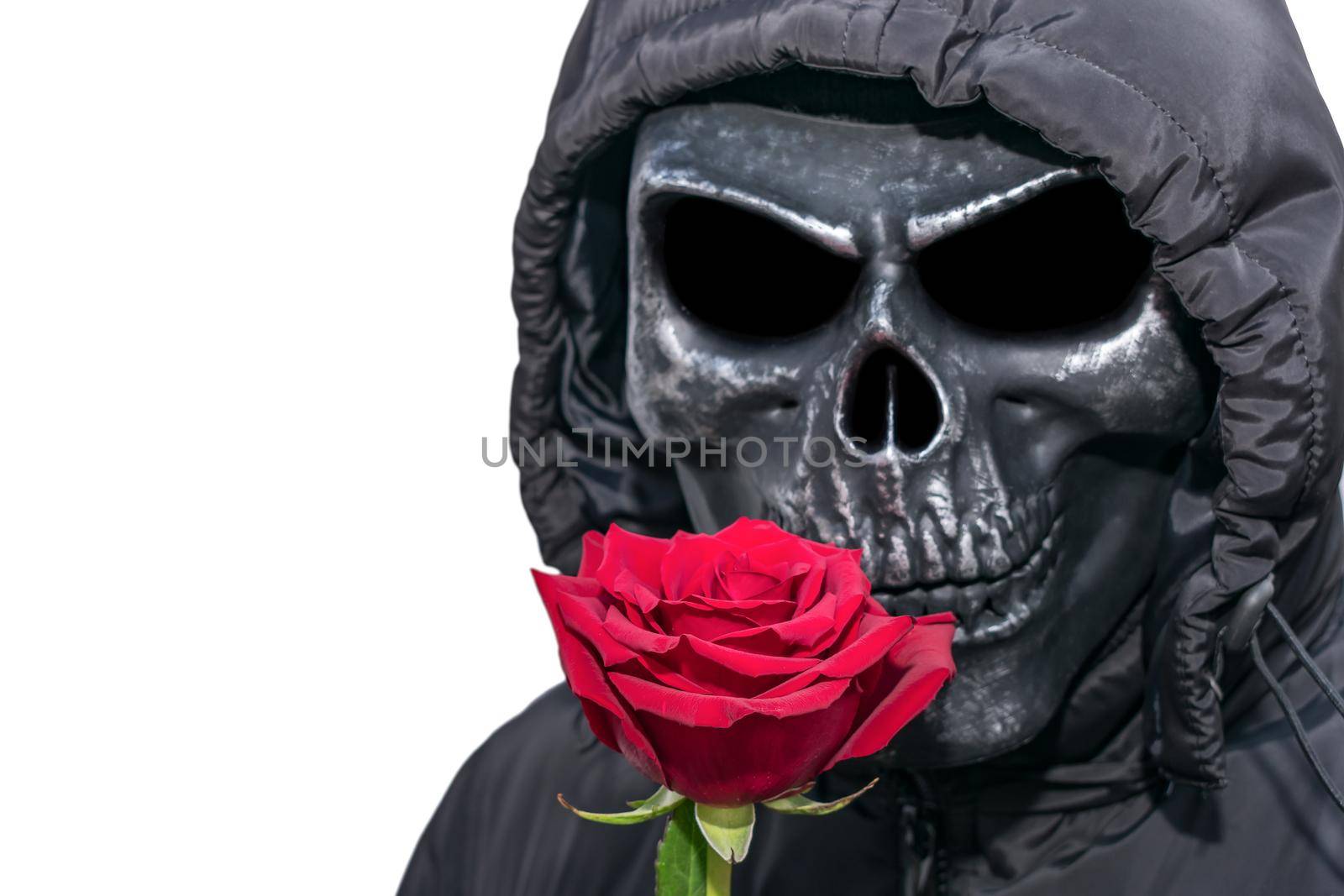 Red rose on the background of a man in a death mask and a hood in the Gothic style for Halloween