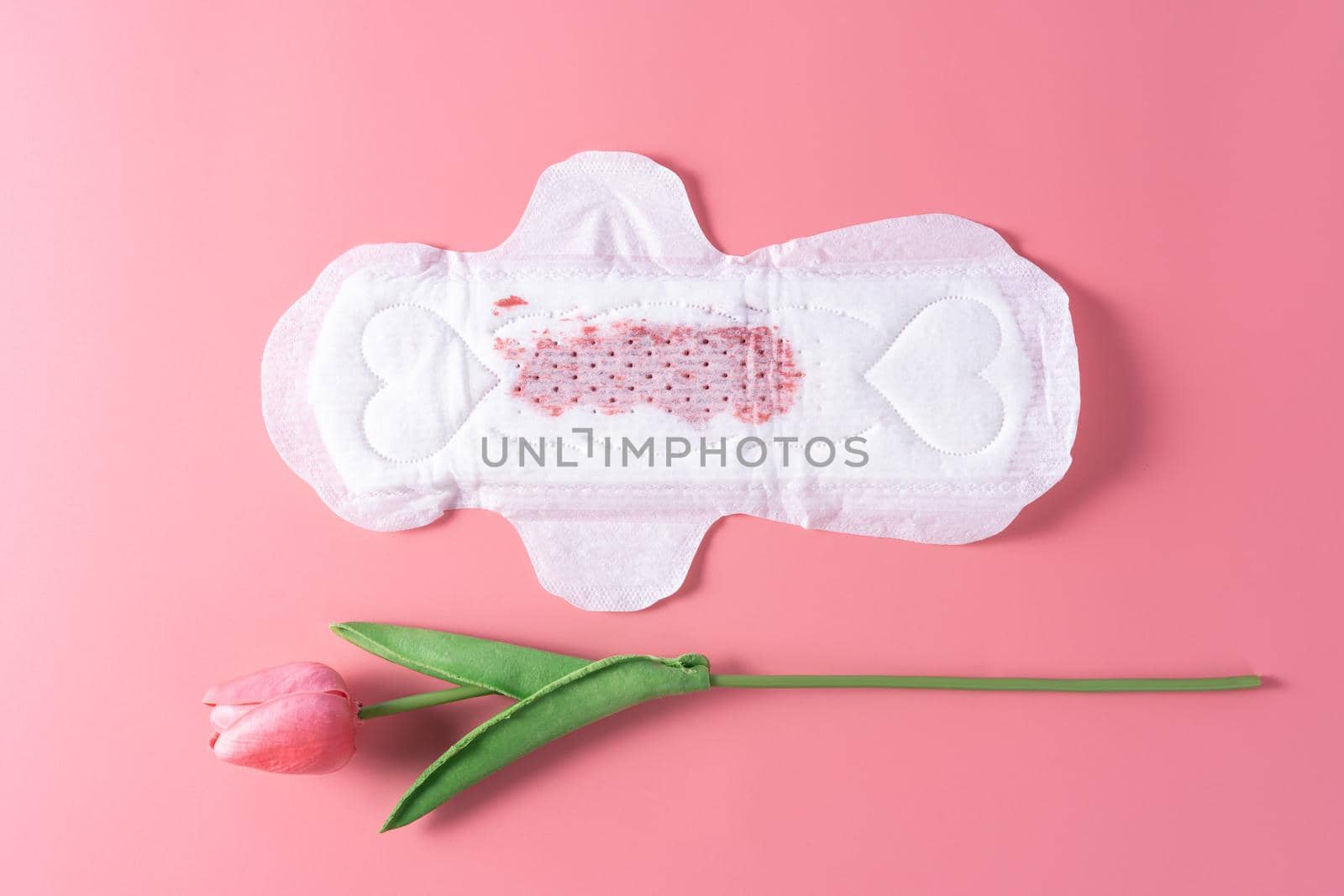 Used Sanitary pad with little amount of blood, Sanitary napkin with tulip flower on pink background. Menstruation, Feminine hygiene, top view.