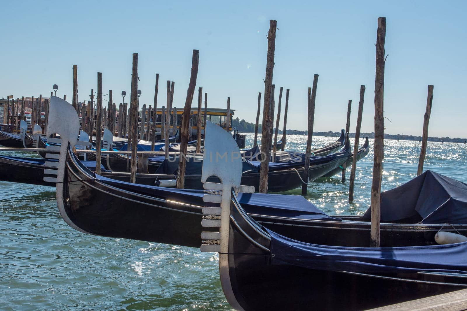 discovery of the city of Venice and its small canals and romantic alleys, Italy