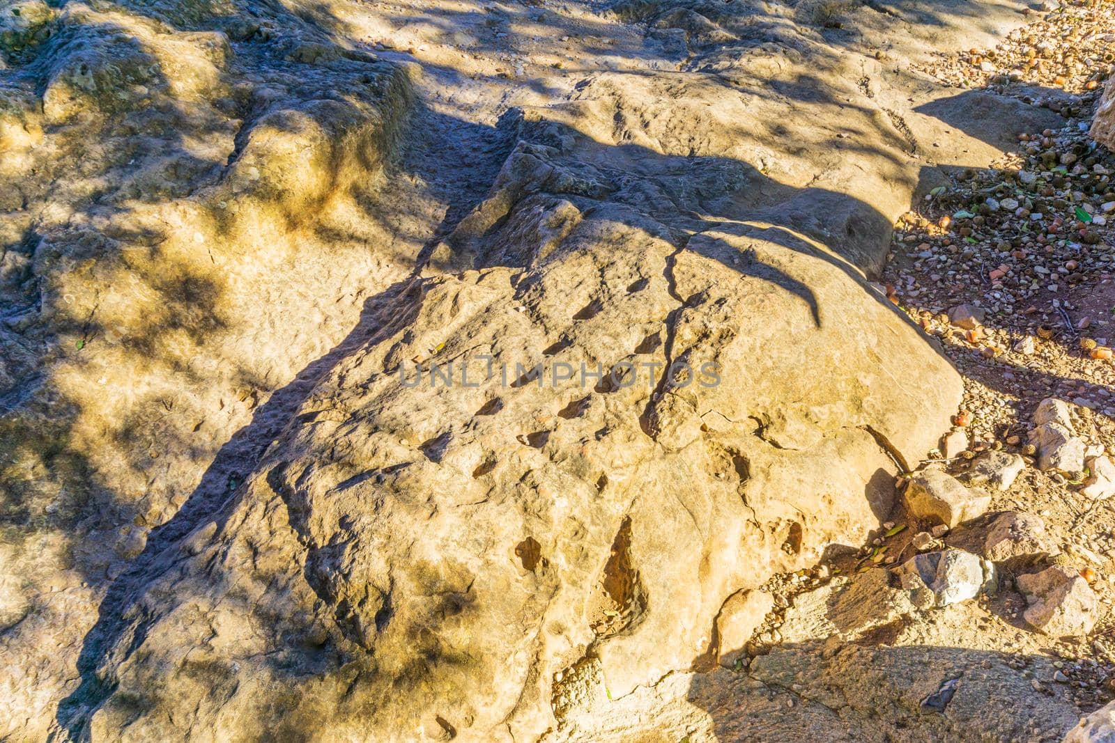 View of engraving of a Manqala board game, in the Medieval Nimrod Fortress, the Golan Heights, Northern Israel