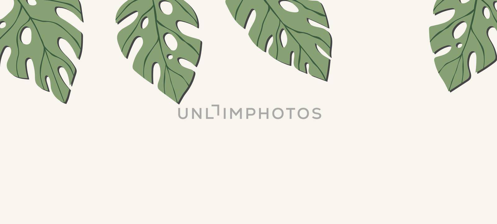 Floral web banner with drawn color exotic monstera leaves. Nature concept design. Modern floral compositions with tropical branches. Vector illustration on the theme of ecology, natura, environment.