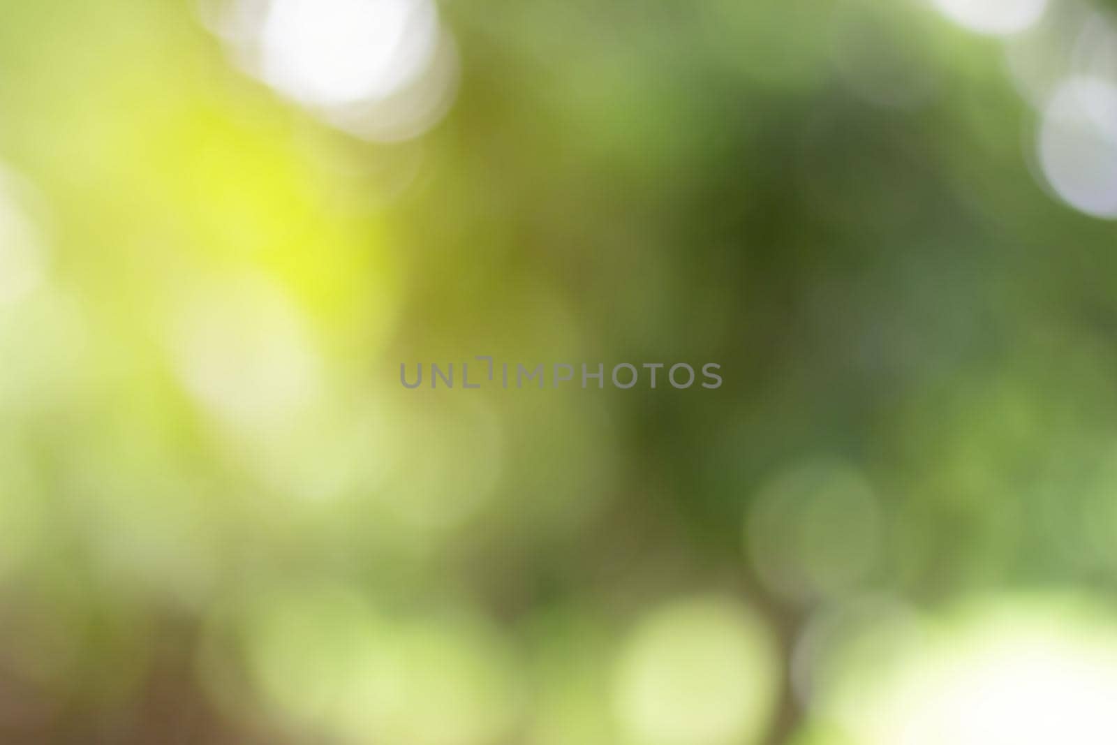 Blurred of Green natural background for design.