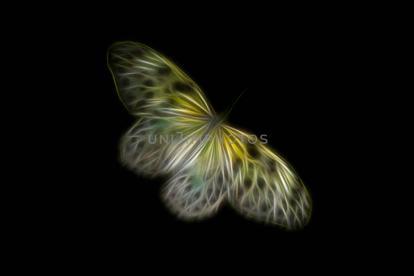 abstract image of a yellow butterfly on black .