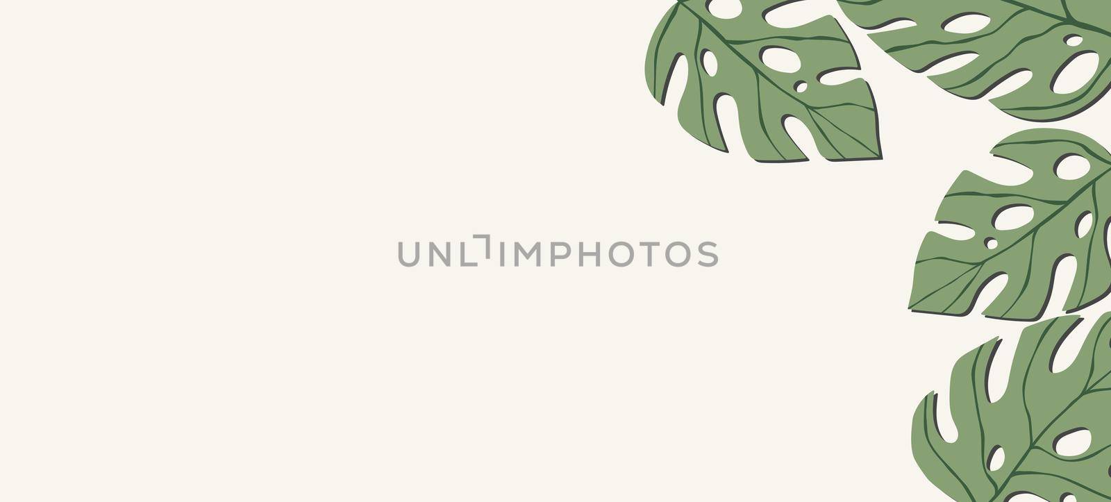 Floral web banner with drawn color exotic monstera leaves. Nature concept design. Modern floral compositions with tropical branches. Vector illustration on the theme of ecology, natura, environment by allaku