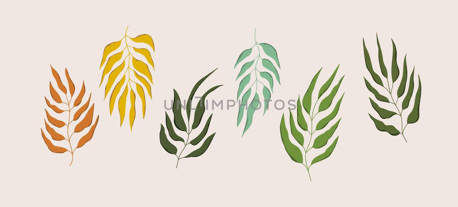 Floral set hand drawn color leaves. Cute isolated elements. Clip art for stationery, web design. Modern floral compositions. Vector illustration. by allaku