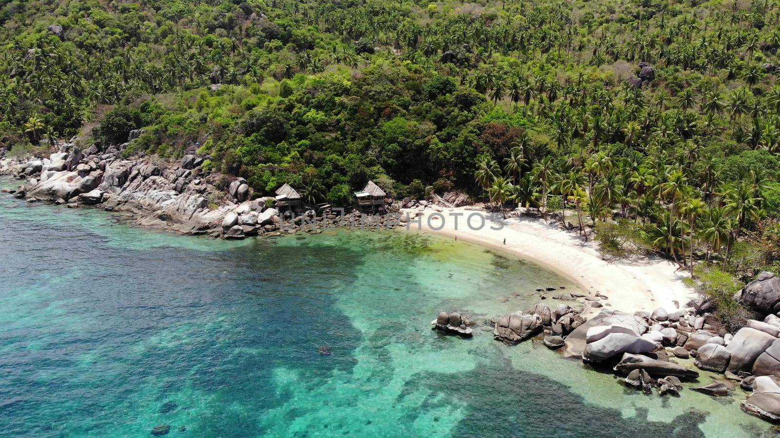 Bungalows and green coconut palms on tropical beach. Cottages on sandy shore of diving and snorkeling resort on Koh Tao paradise island near calm blue sea on sunny day in Thailand. Drone view. by DogoraSun