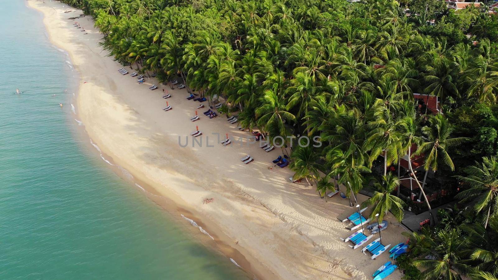 Blue lagoon and sandy beach with palms. Aerial view of blue lagoon and sun beds on sandy beach with coconut palms and roof bungalows. by DogoraSun