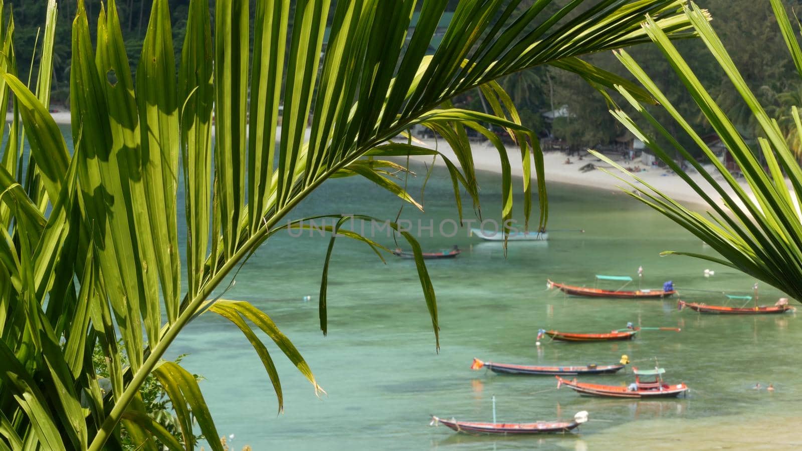 Boats near shore of island. Traditional colorful fishing vessels floating on calm blue water near white sand coast of tropical exotic paradise island. View through green palm leaves. Koh Phangan.