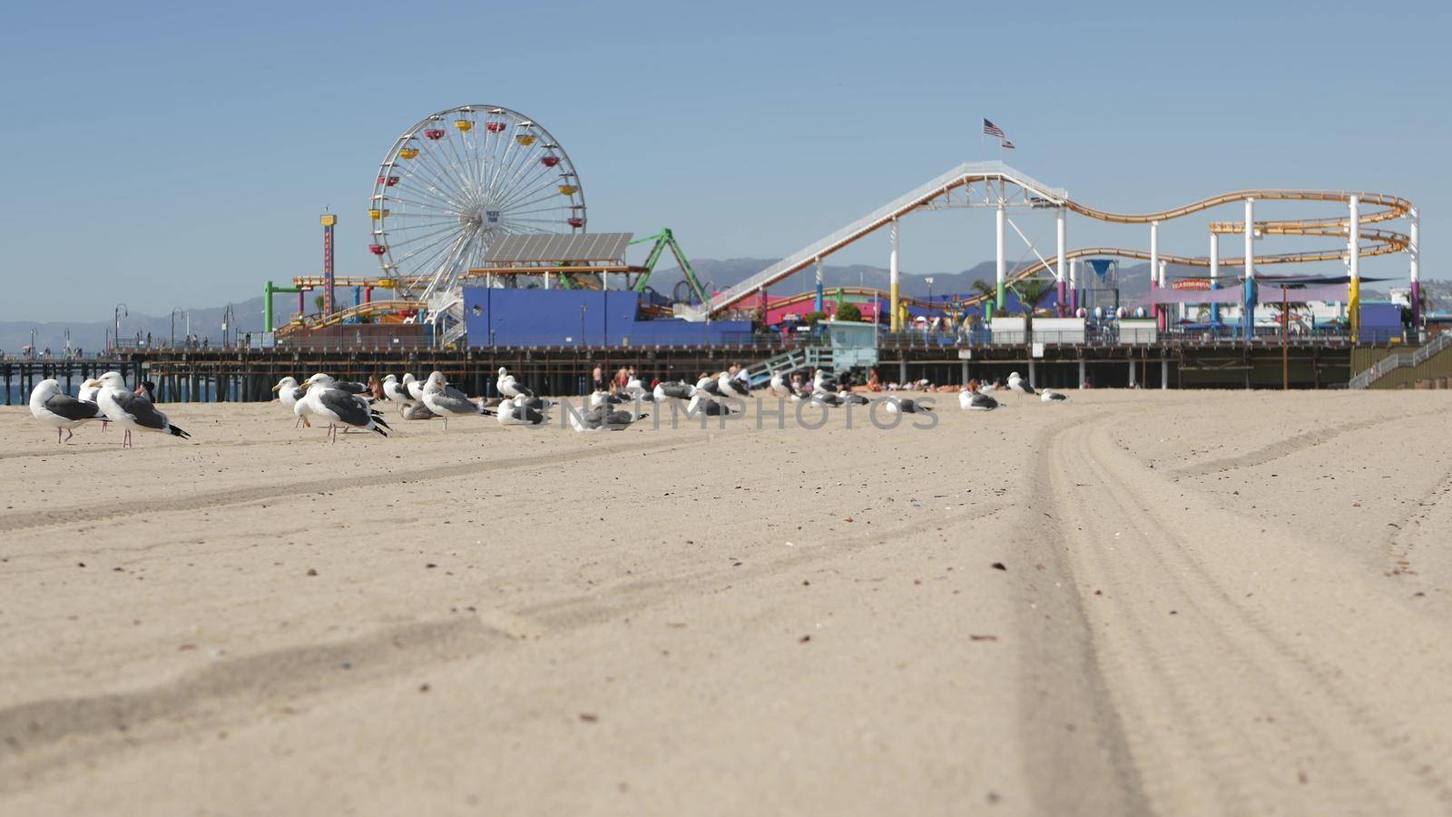 Sea gulls on sunny sandy california beach, classic ferris wheel in amusement park on pier in Santa Monica pacific ocean resort. Summertime iconic view, symbol of Los Angeles, CA USA. Travel concept.