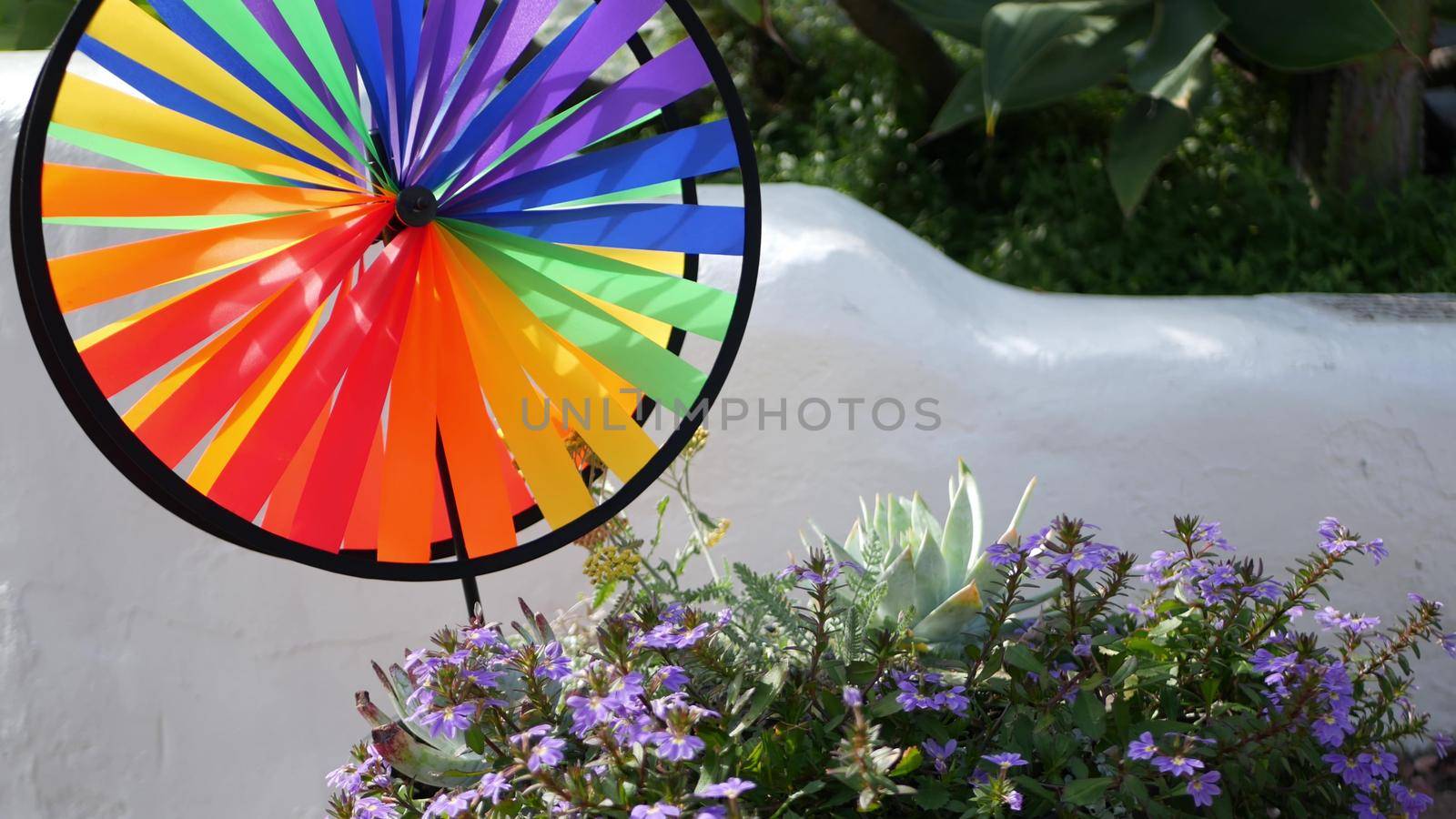 Colorful pinwheel spinning, weather wind vane, garden decoration in USA. Rainbow symbol of childhood, fantasy and imagination rotating. Multi colored spiral toy turning in breeze. Summertime dreaming.
