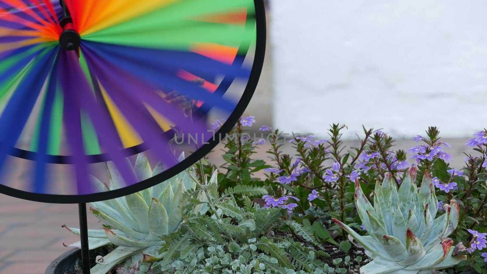 Colorful pinwheel spinning, weather wind vane, garden decoration in USA. Rainbow symbol of childhood, fantasy and imagination rotating. Multi colored spiral toy turning in breeze. Summertime dreaming.