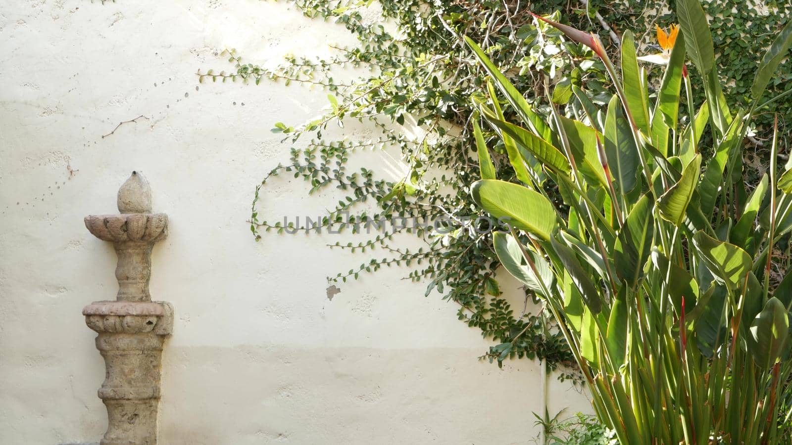 Mediterranean rustic building, empty side street. Green garden with natural greenery in spanish colonial style suburb. Evergreen succulent plants near white rural house. Mexican countryside aesthetic.