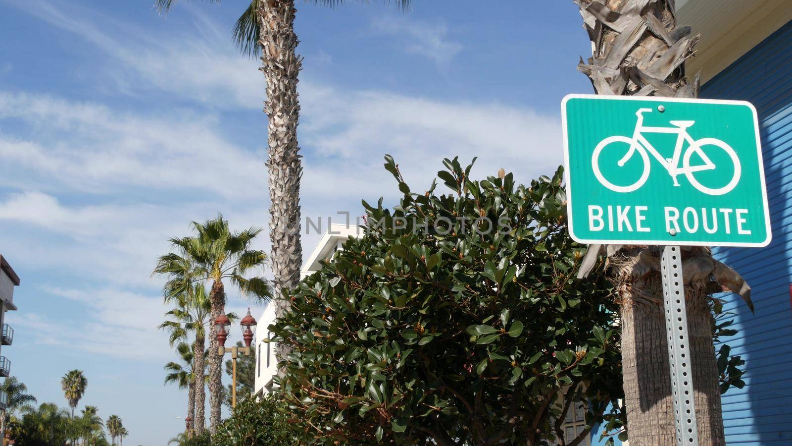 Bike Route green road sign in California, USA. Bicycle lane singpost. Bikeway in Oceanside pacific tourist resort. Cycleway signboard and palm. Healthy lifestyle, recreation and safety cycling symbol.