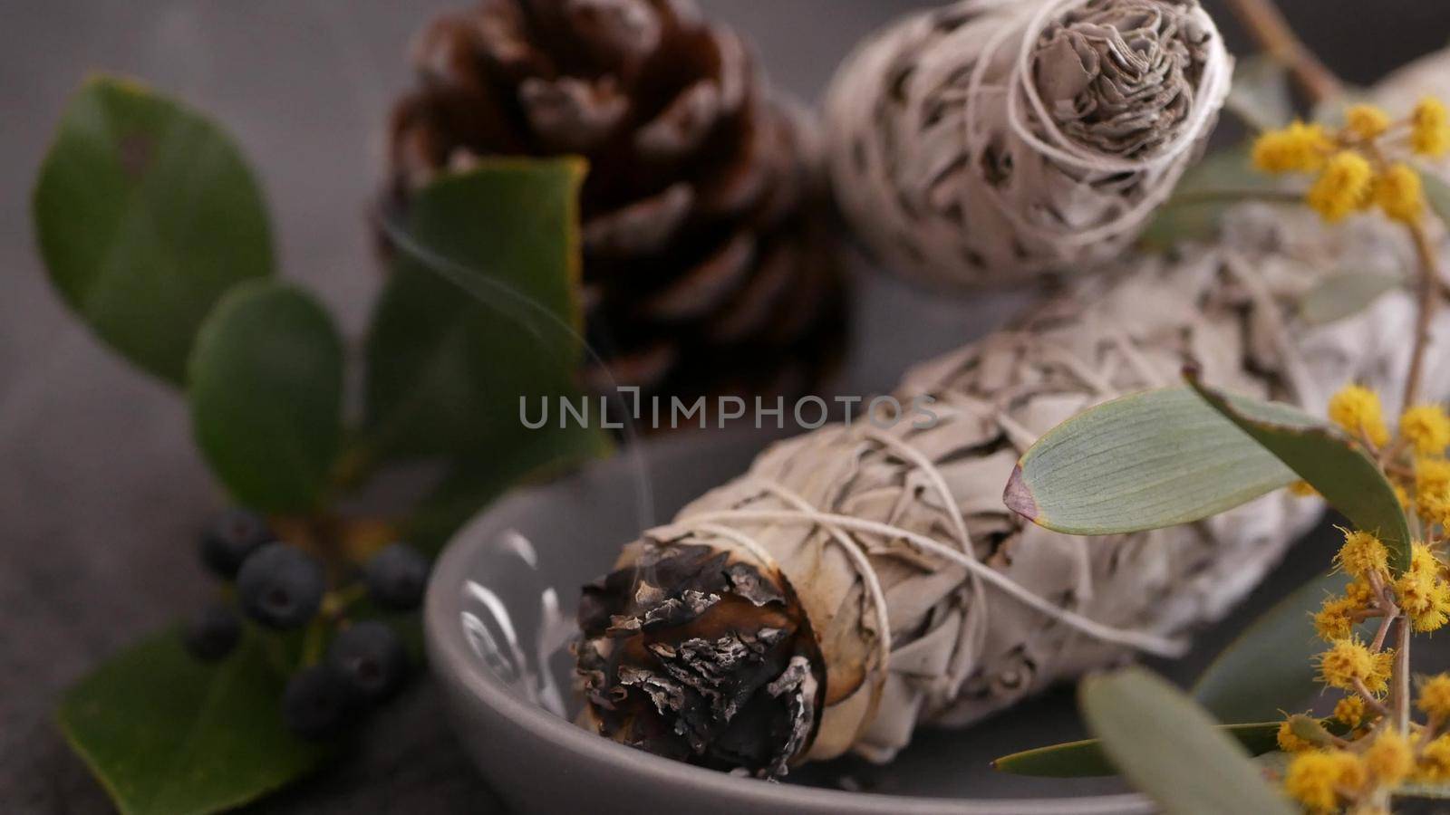 Dried white sage smudge stick, relaxation and aromatherapy. Smudging during psychic occult ceremony, herbal healing, yoga or aura cleaning. Essential incense for esoteric rituals and fortune telling.