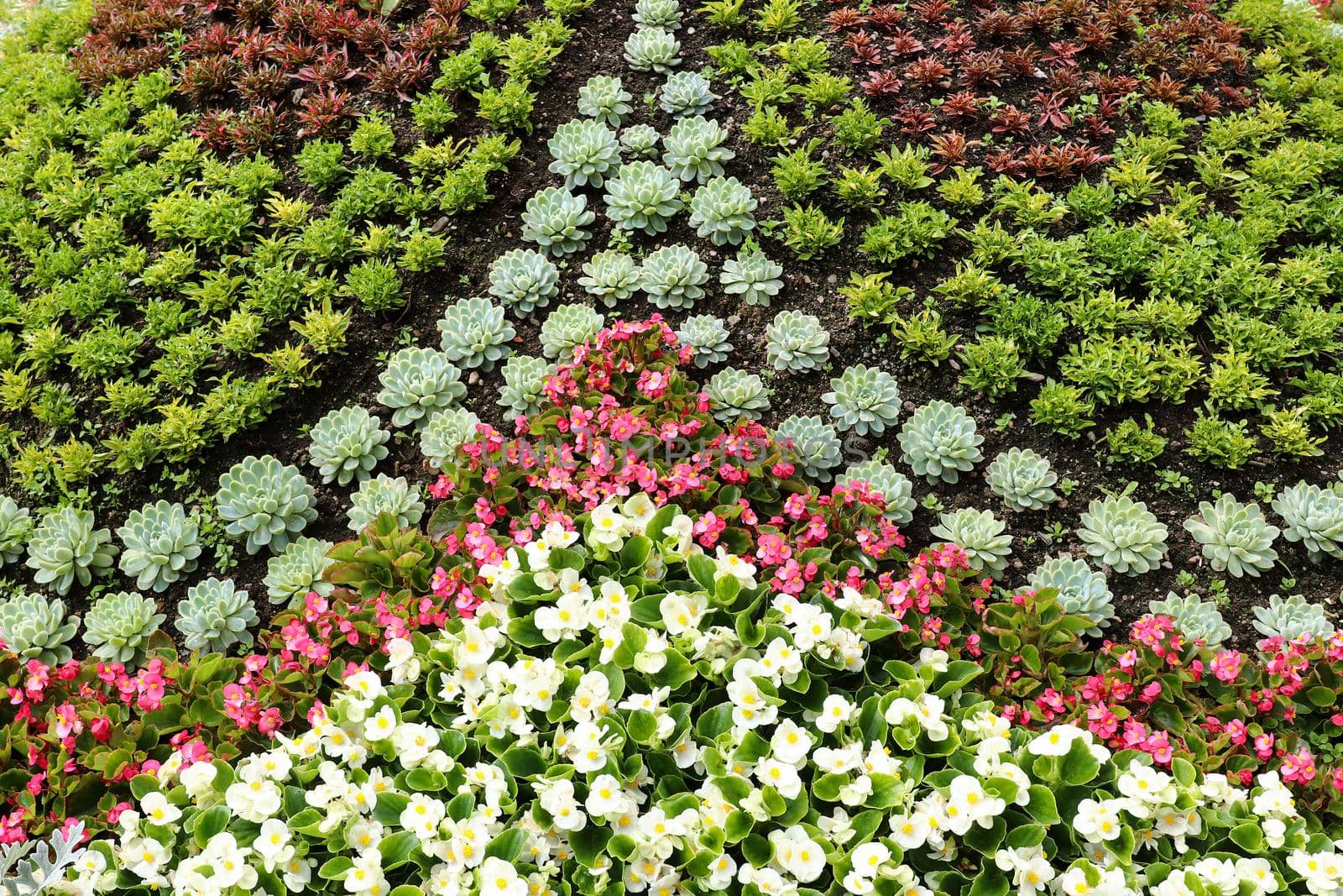 Detail of the flowerbed in an ornamental garden