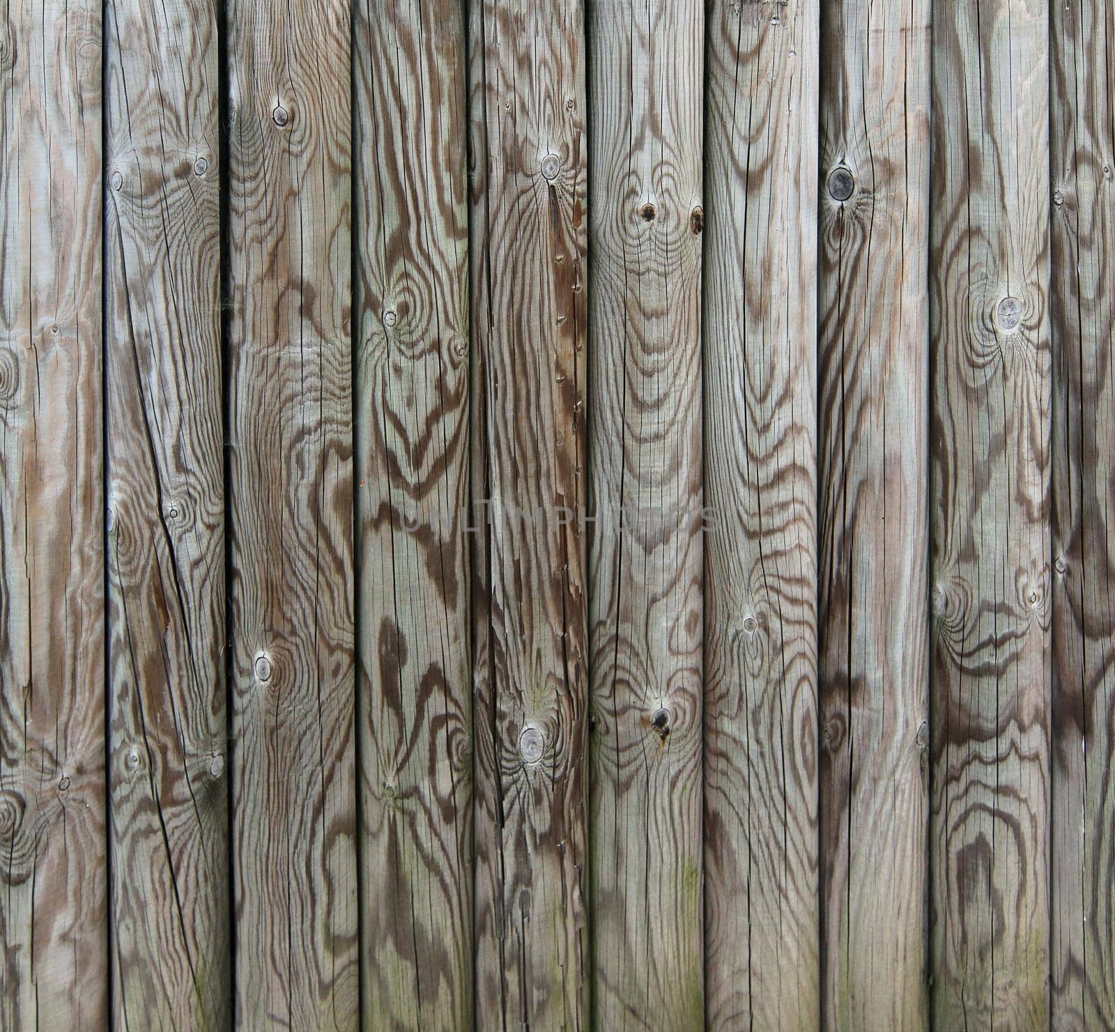 Palisade - fence from wooden stakes - wooden texture